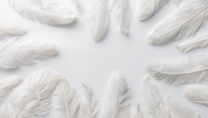 Soft White Feathers on Minimalist Background for Elegant Designs