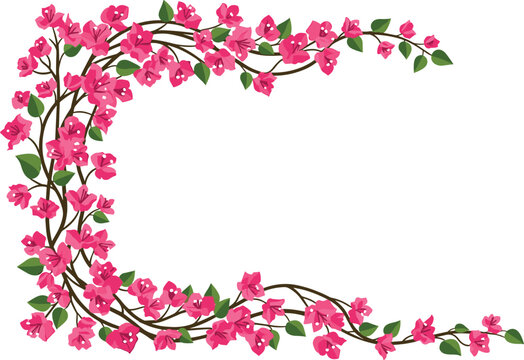 Floral alphabet letter C with pink flowers vine branch botanical monogram decorative spring blossom design isolated flat vector illustration