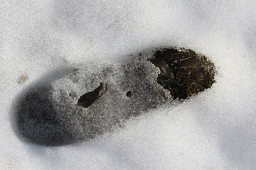 Human footprints in melting snow. Early spring thaw background