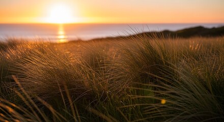 Golden sunset over serene beach with tall grass swaying in the breeze