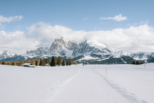 Blick von der Seiser Alm auf das Langkofelmassiv im Winter mit Skipisten und Langlaufloipen