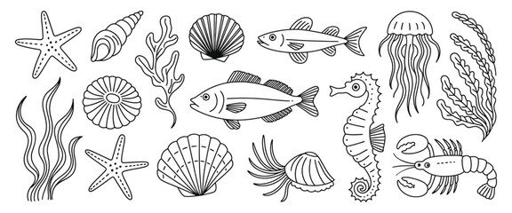 marine wildlife doodle coral, starfish and shell seahorse and mollusk, lobster and seaweed jellyfish fish cute aquarium, hand drawn isolated ocean animals nautical sketch vector set, decorative emblem © Rose