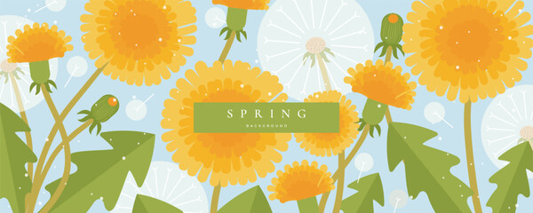 Modern spring banner, greeting card, cover, poster with dandelion on blue background. Floral art template for seasonal design, advertising, social media, web. © Svitla