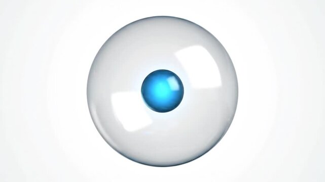 Abstract Visualization of Cell Division and Biological Processes with Water Dynamics