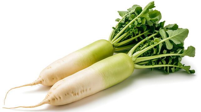 Healthy Fresh Daikon Radishes with Vibrant Green Leaves on White Background