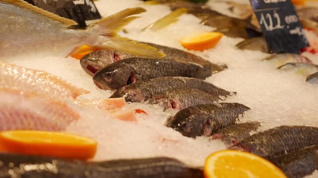 Whole fish lies on crushed ice in a supermarket seafood display, surrounded by other fish and price labels. Fresh seafood.