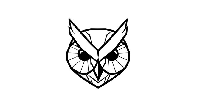 Black and White Owl Illustration Design.
