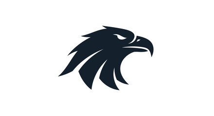 Fototapeta premium Black Eagle Bird Head Profile View.