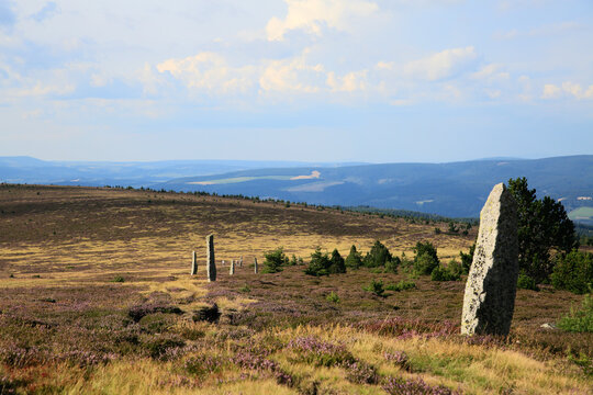 Mont Loz&egrave;re (Finiels) et le Chemin de Stevenson long&eacute; de pierres plant&eacute;es - Loz&egrave;re -C&eacute;vennes
