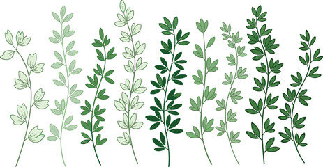 Green Leaf Branches Collection with Botanical Foliage Elements Natural Plant Leaves Set Vector Illustration © MdMunzurul