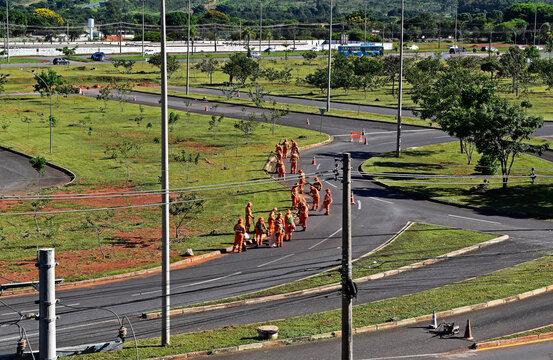 Public cleaning workers repairing street curbs in Brasilia, Federal District, Brazil