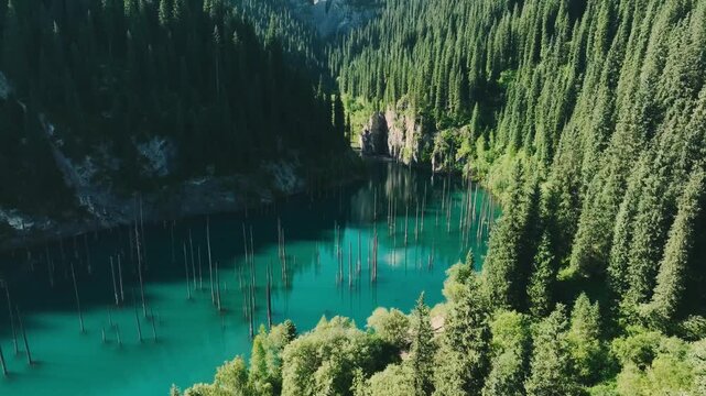 Turquoise mountain lake surrounded by dense evergreen forest and steep rocky cliffs under clear sky.