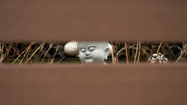 Peeping at a Buddha statue