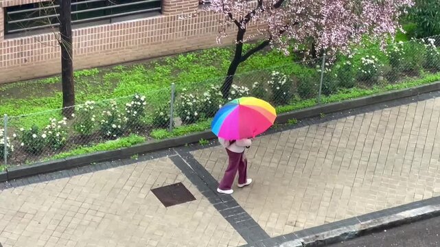 Lluvia y paraguas de colores en d&iacute;a de lluvia