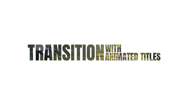 Transition with Animated Titles