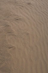 Obraz premium Wind-shaped beach sand featuring soft ridges and delicate contours formed by natural erosion.