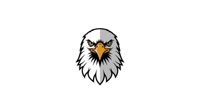 Close up of eagle head.