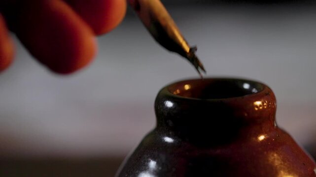 macro quill pen being removed from ink well