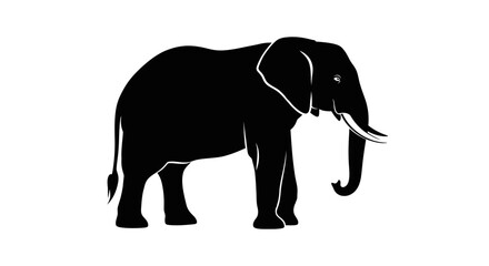 Fototapeta premium Elephant silhouette vector design graphic illustration