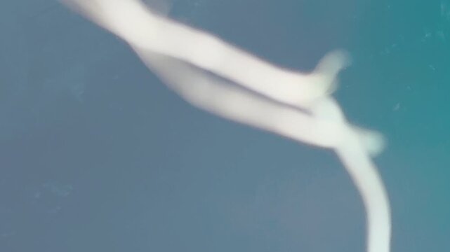 fast light leak affecting image quality