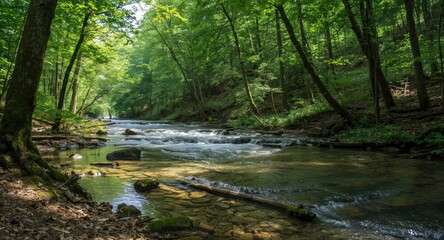 Obraz premium Bright and fresh forest scene by a gently moving river