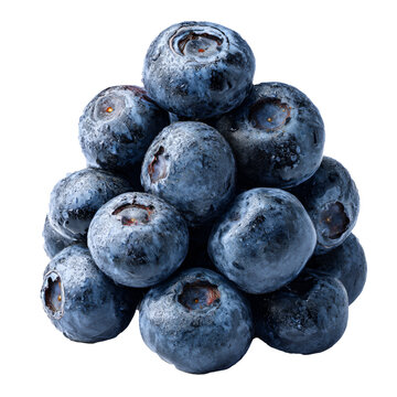 Blueberries isolated with crisp edges for commercial web and print use.