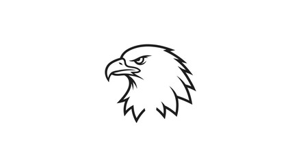 Detailed drawing of an eagle head.