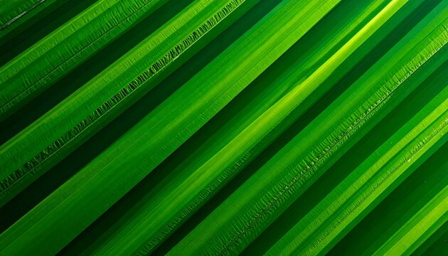 Bright, diagonally oriented green foliage abstract with subtle light variations across each individual leaf