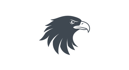 Fototapeta premium Eagle Bird Head Profile View.