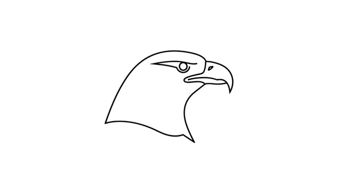 Eagle Bird Head Profile View.