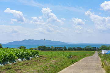 Rural farmland landscape in Amakusa with view toward Shimabara Peninsula Japan