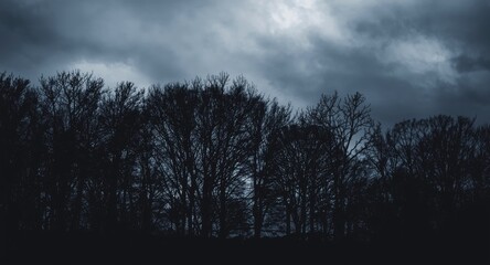 Obraz premium Dark tree outlines under a cloudy sky backdrop
