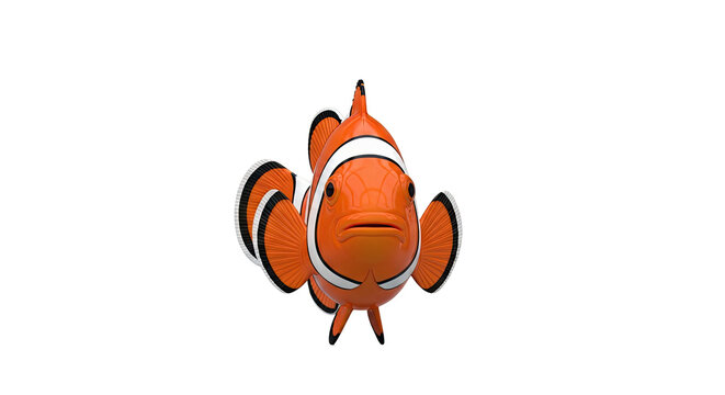 3D Render of a Clownfish
