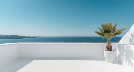 Fototapeta premium Bright white coastal terrace with potted palm in minimalist style overlooking the ocean and blue sky copy space