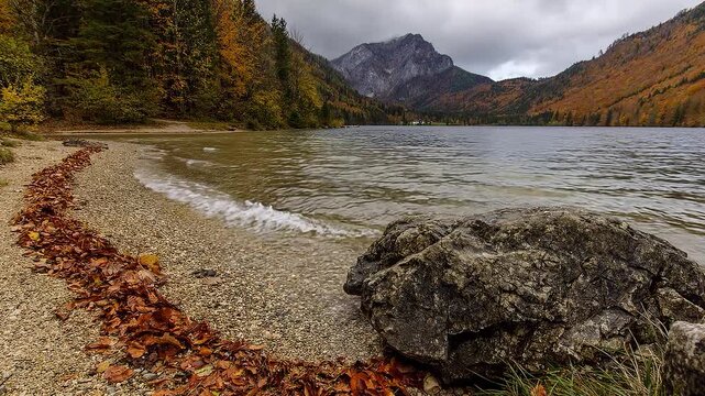 Langbathsee in &Ouml;sterreich mit Felsen im Vordergrund und bewegtem Wasser - Ruhige Wellen am Ufer des Langbathsees in den &ouml;sterreichischen Alpen, herbstlicher Bergwald und klarer Bergsee