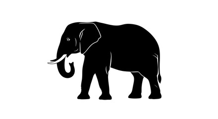 Obraz premium Silhouette of an elephant