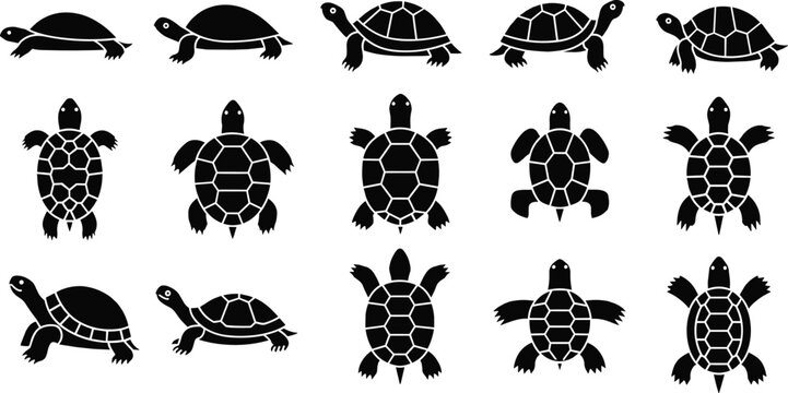 Turtle tortoise silhouette collection, reptile icon set, shell outline design, aquatic animal illustration, wildlife graphic art, nature species comparison