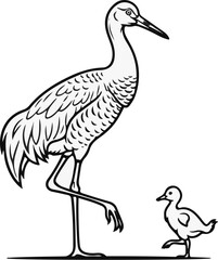 Obraz premium A parent bird stands on one leg watching a small chick waddle