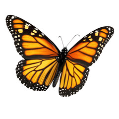 Obraz premium A monarch butterfly with open wings on transparent background