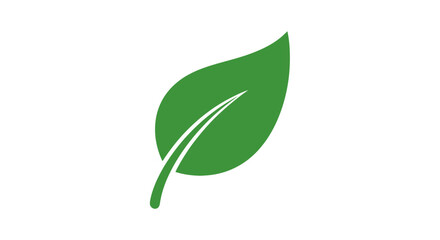 Obraz premium Green leaf with white lines.