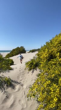 Vertical video of a woman walking on the sand with blooming mimosa bushes on one side and the sea and beach on the other. Sunny, peaceful atmosphere; concept of spring, summer, nature