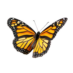 Obraz premium A vibrant monarch butterfly with open wings on transparent background
