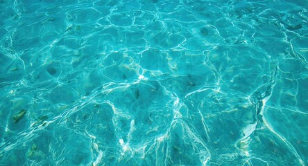 Obraz premium Clear azure lagoon with sparkling turquoise water and flowing sea ripples