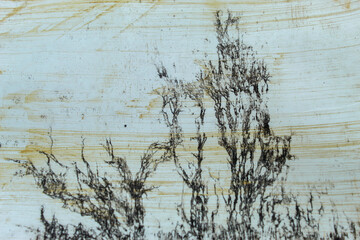 The old worn wall background with black stains forms a unique organic pattern, giving a vintage and artistic impression.