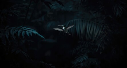 Fototapeta premium Dark moody rainforest setting featuring silent hummingbird in flight