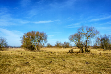 Podlaskie Safari - Naewiański Park Narodowy, Polska © podlaski49