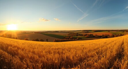 Fototapeta premium Golden sunlight bathing farming fields during seasonal transition