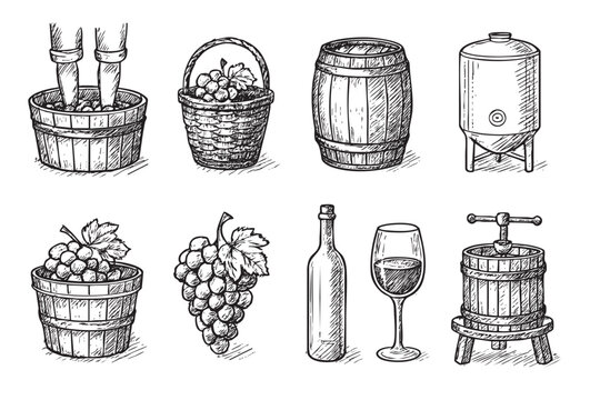 Detailed sketch illustration showcases wine-making equipment, including grape pressing, barrels, and a wine glass, creating a vintage feel suitable for wine-related themes and designs.