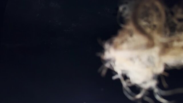 fast light leak action in camera