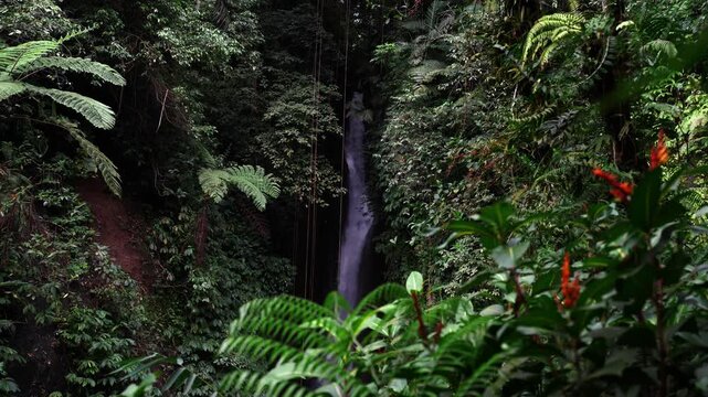 Leke Leke Waterfall Hidden in Bali Jungle Canyon